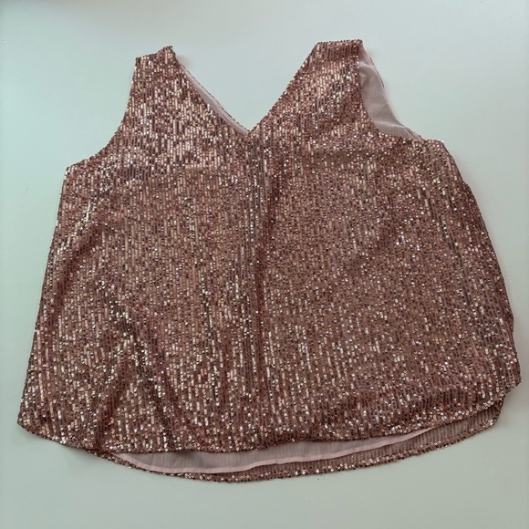 LOFT Plus Pink Sequin Sleeveless Blouse - Picture 6 of 10